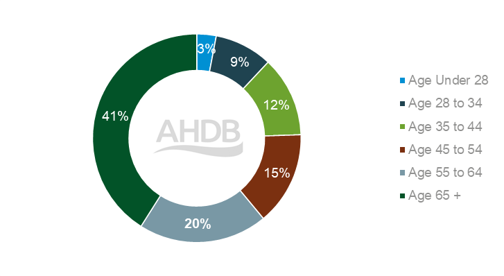 Consumer demographics who purchase lamb